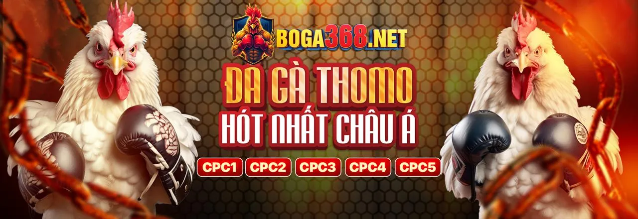 Đội ngũ hỗ trợ khách hàng chuyên nghiệp của vs368
